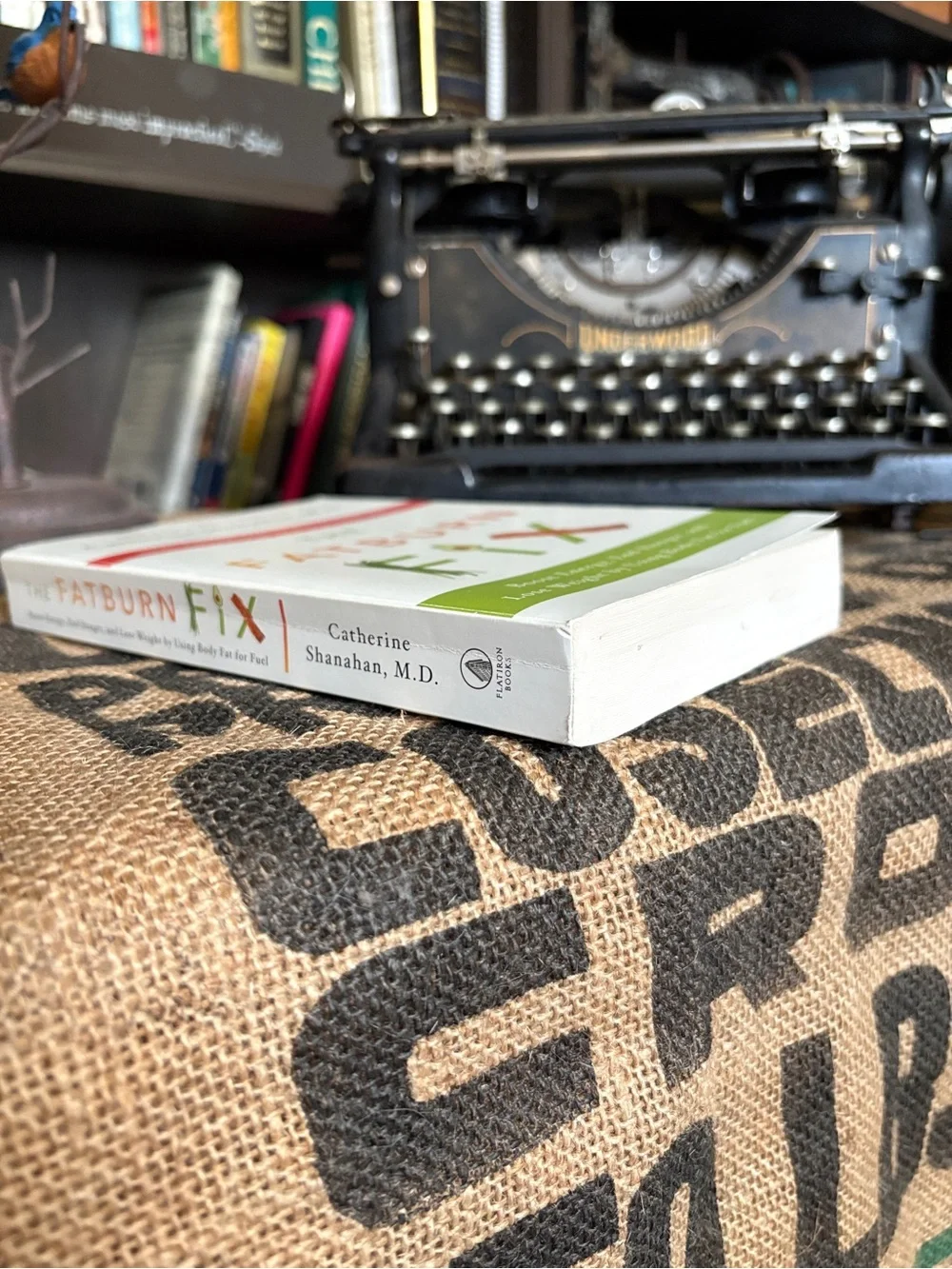 “The Fatburn Fix” book